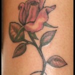 rose tattoo